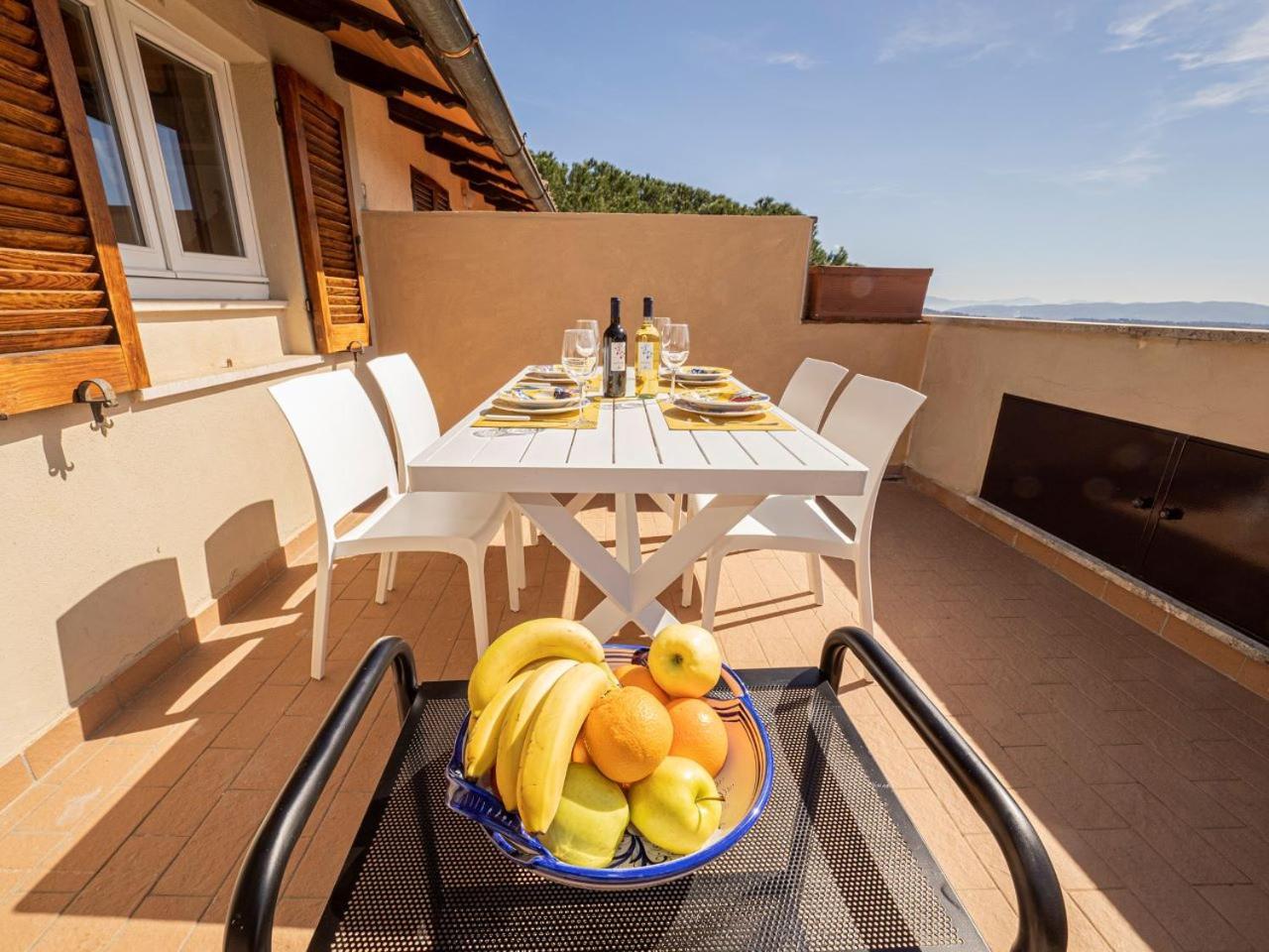 Apartment Utilia Into The Wild *