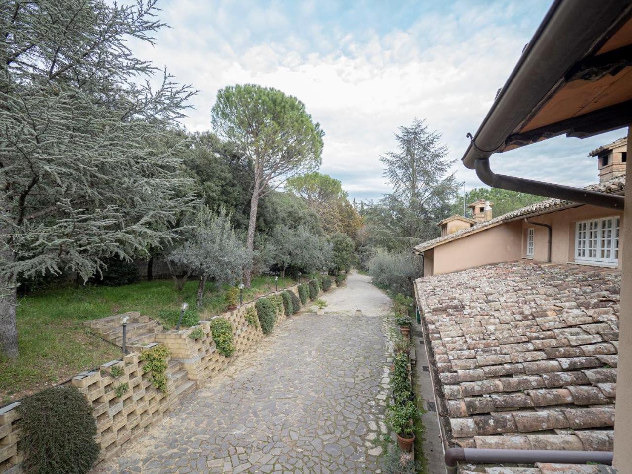 Apartment Utilia Into The Wild *