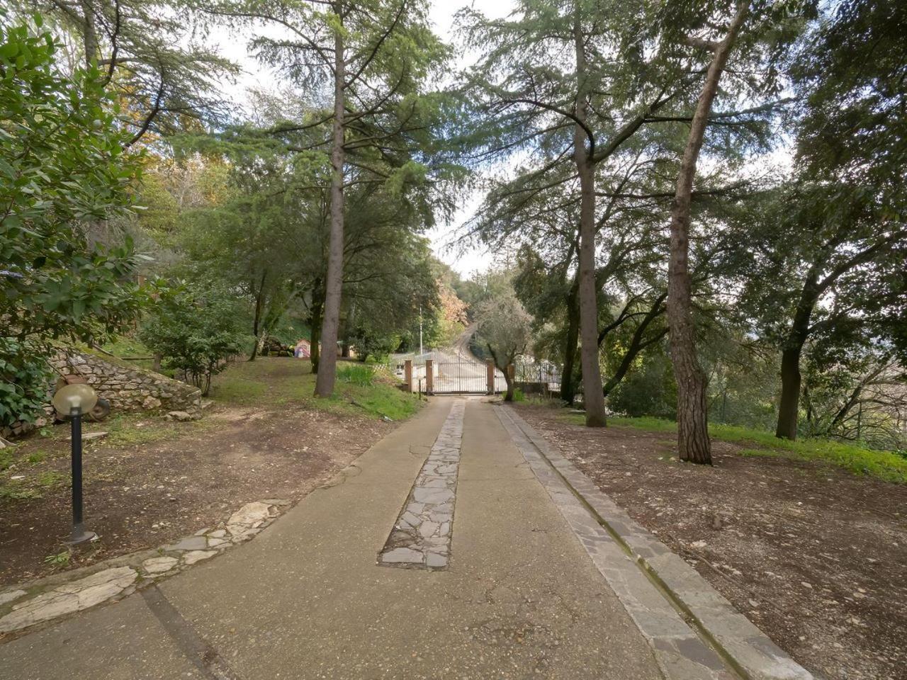 Utilia Into The Wild * Perugia